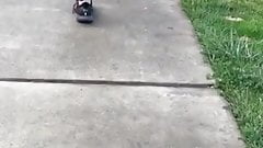 latina mature with a wide jiggly ass