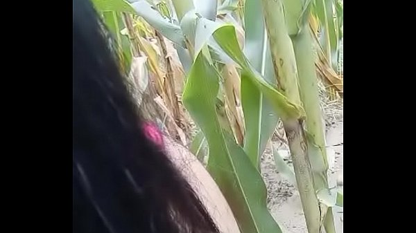 masturbate on the field – more https://bom.to/im7bsmh8fjnc