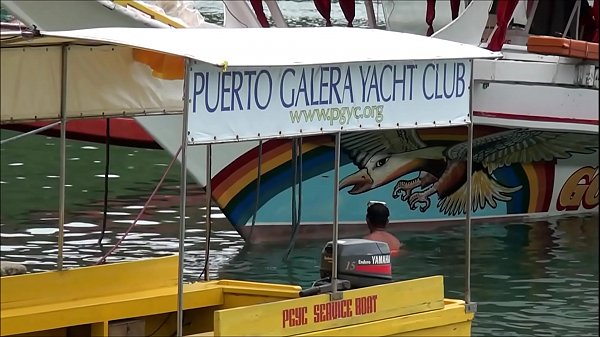 buck wild shows puerto galera philippines