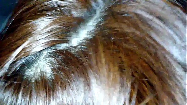 [tour] vietnamese girl with sweet voice at https://t.grtyv.com/w1i9fog8ao?aff id=87101&offer id=3826