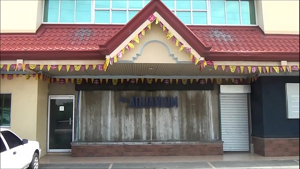 the aquarium davao city philippines