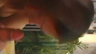 threesome with 2 nice chinese girls