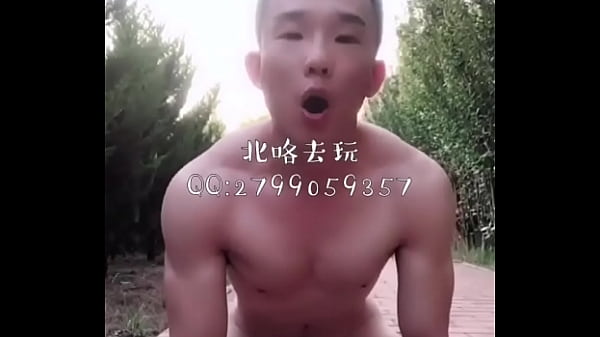 贱 发骚汪汪叫5