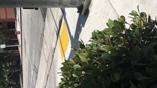 BIG BOOBIES!.MOV
